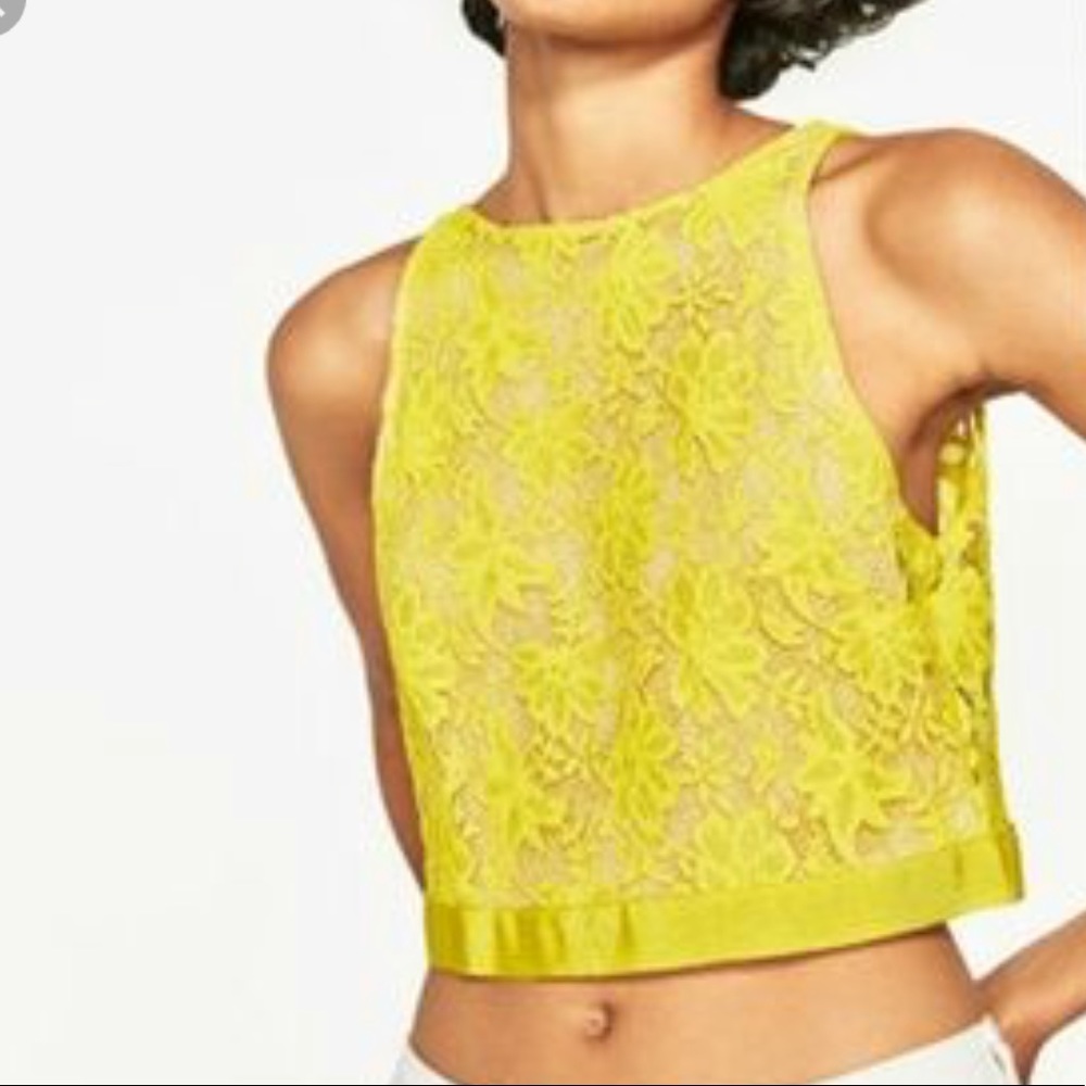 Zara crop top